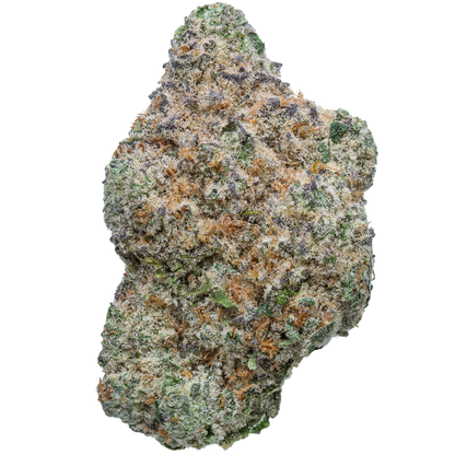 Black Ice