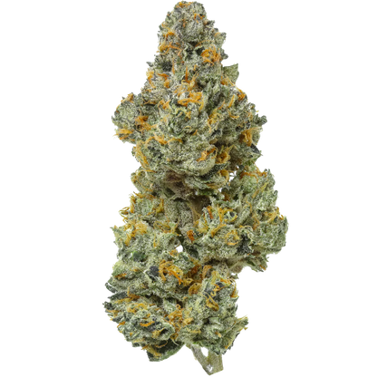 Bleu Runtz