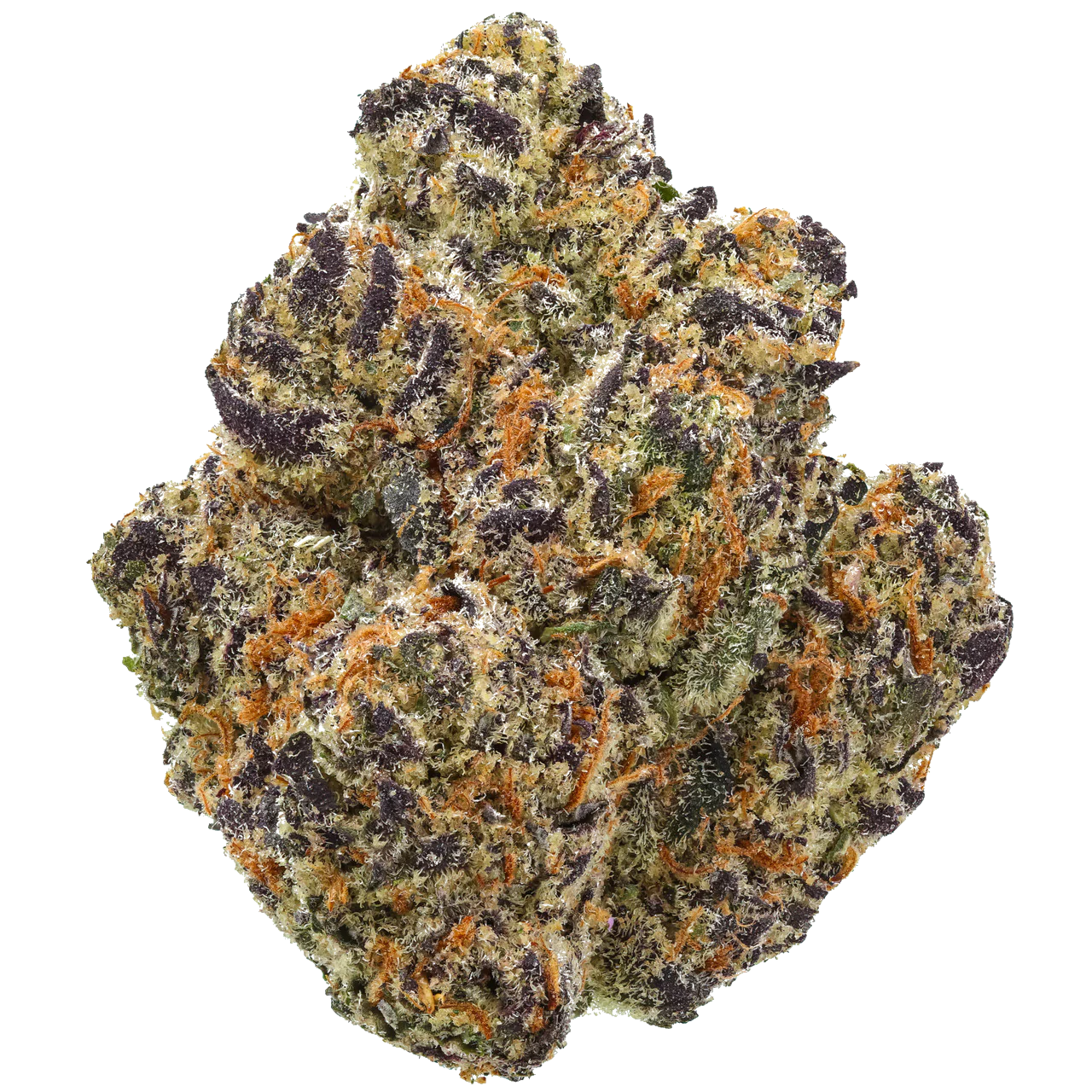 Blueberry Pancake