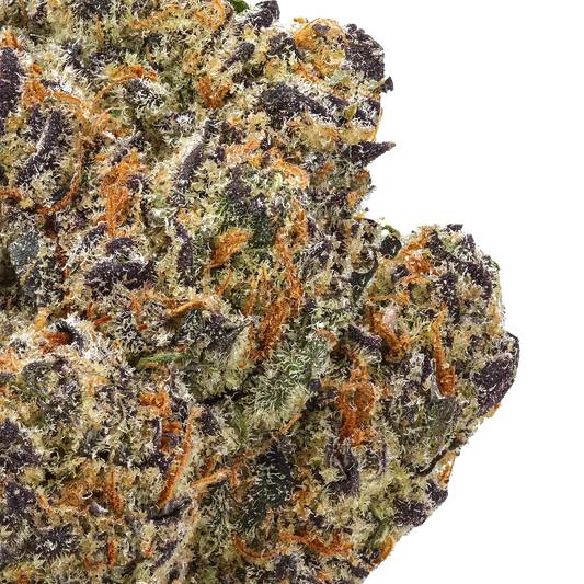 Blueberry Pancake