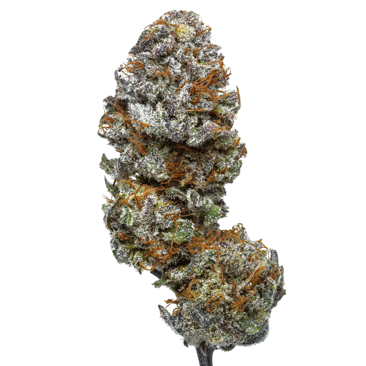 Blue Cheese A3