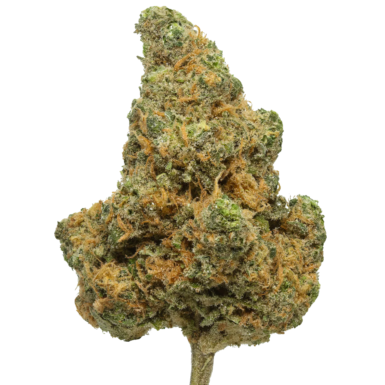 Blue Dream