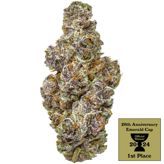 Butter Berry (PointBreak X OZK)