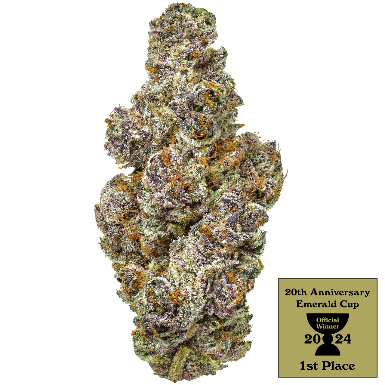 Butter Berry (PointBreak X OZK)