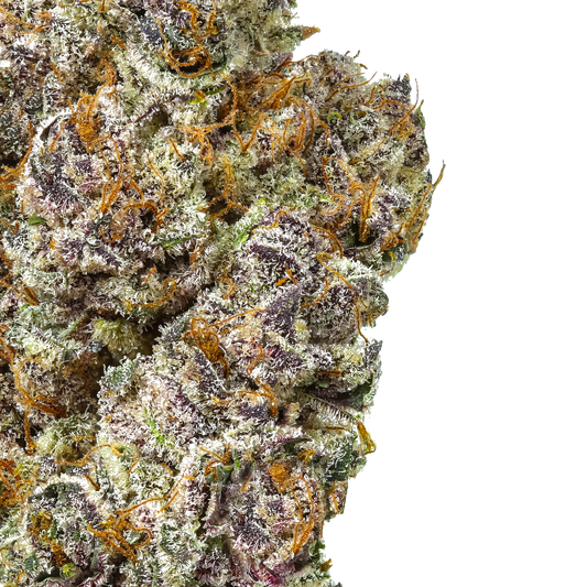 Butter Berry (PointBreak X OZK)