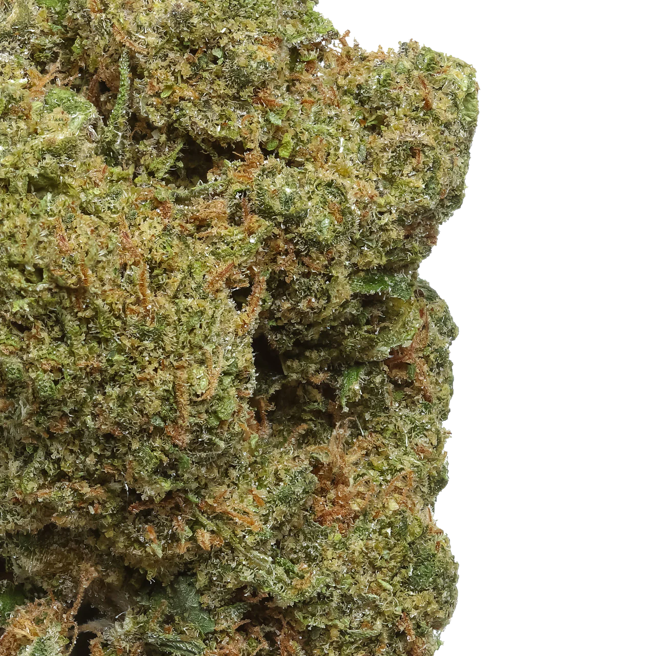Durban Poison