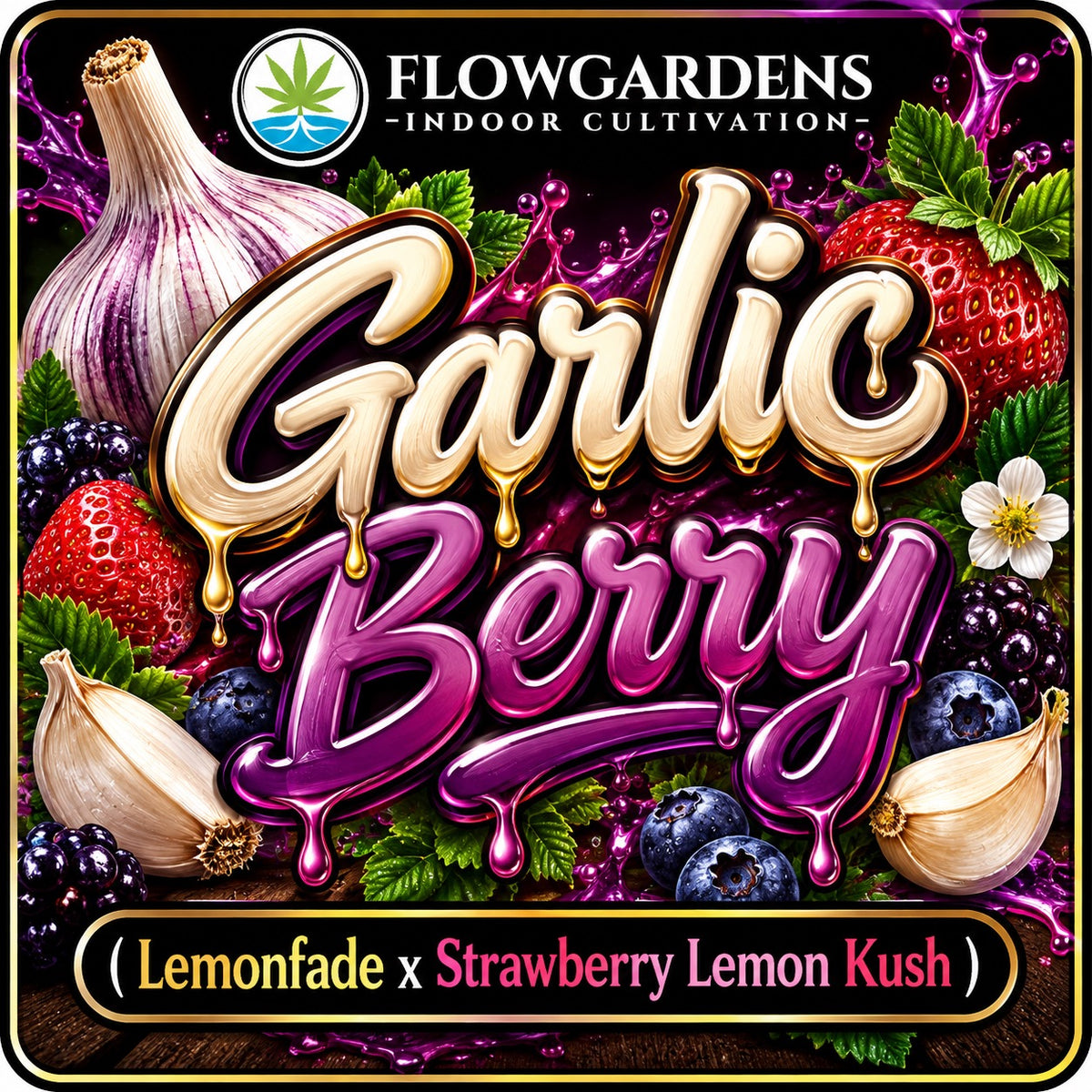 Garlic Berry : CBD Small Batch
