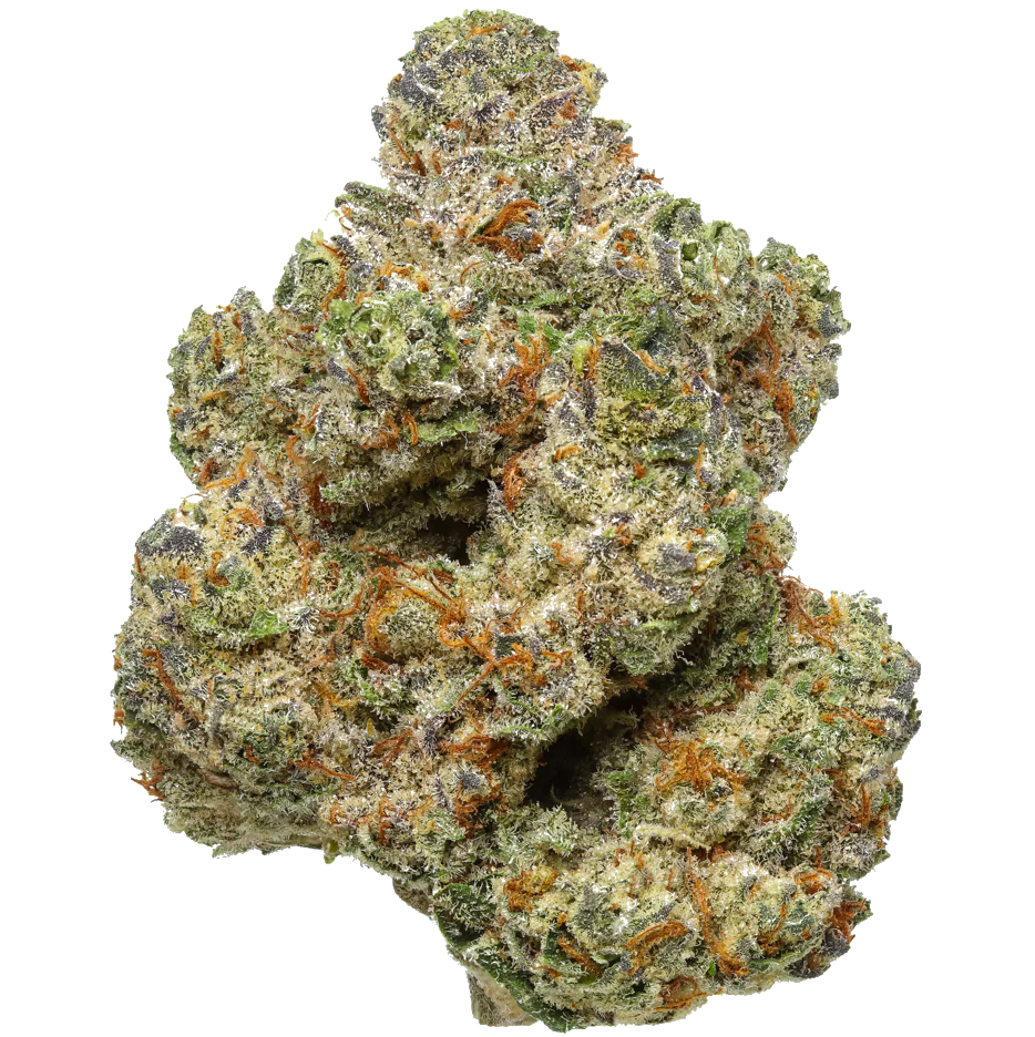Ghost OG