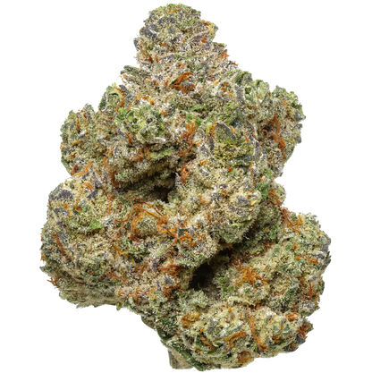 Ghost OG
