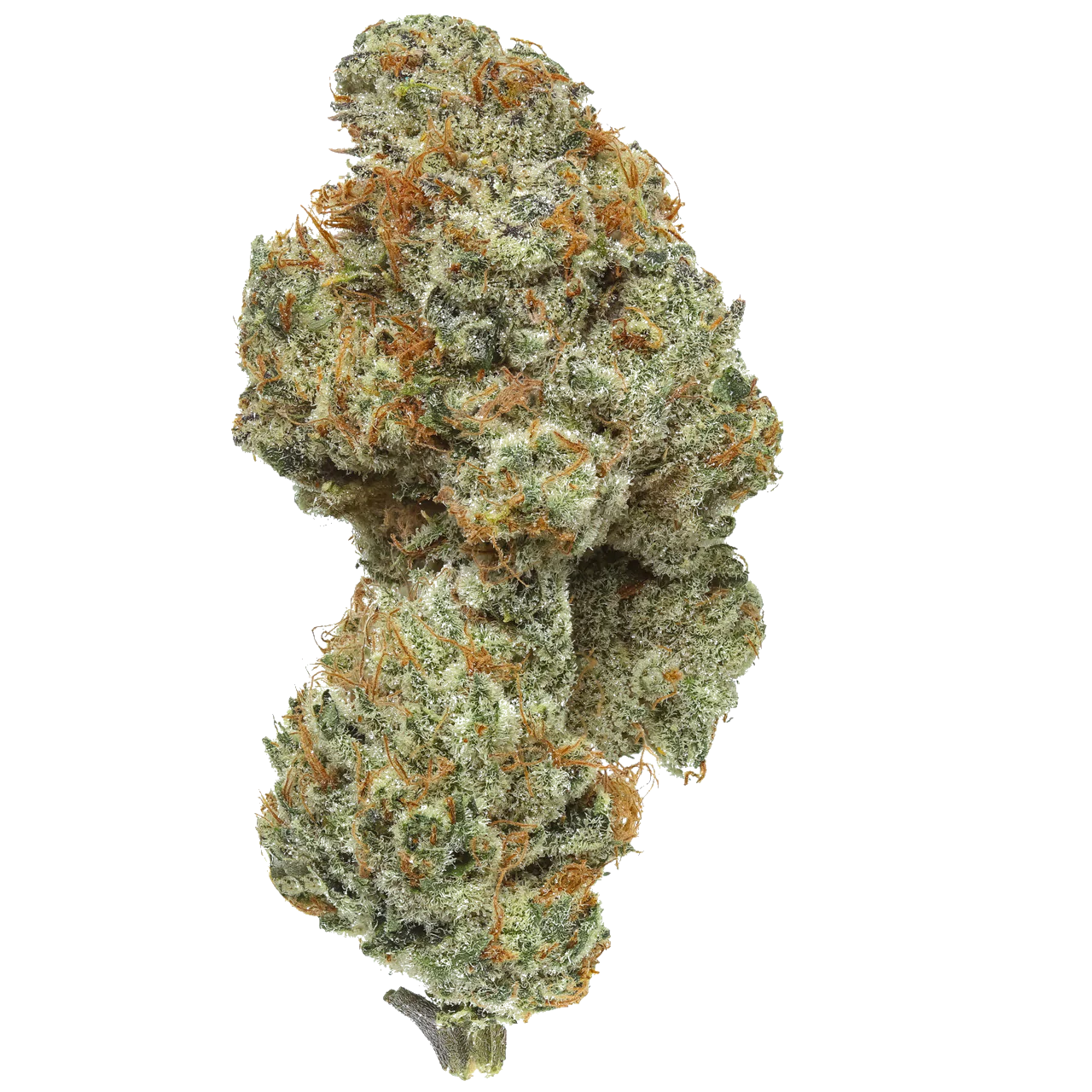 Heavy Z (Zkittlez x ZBX)