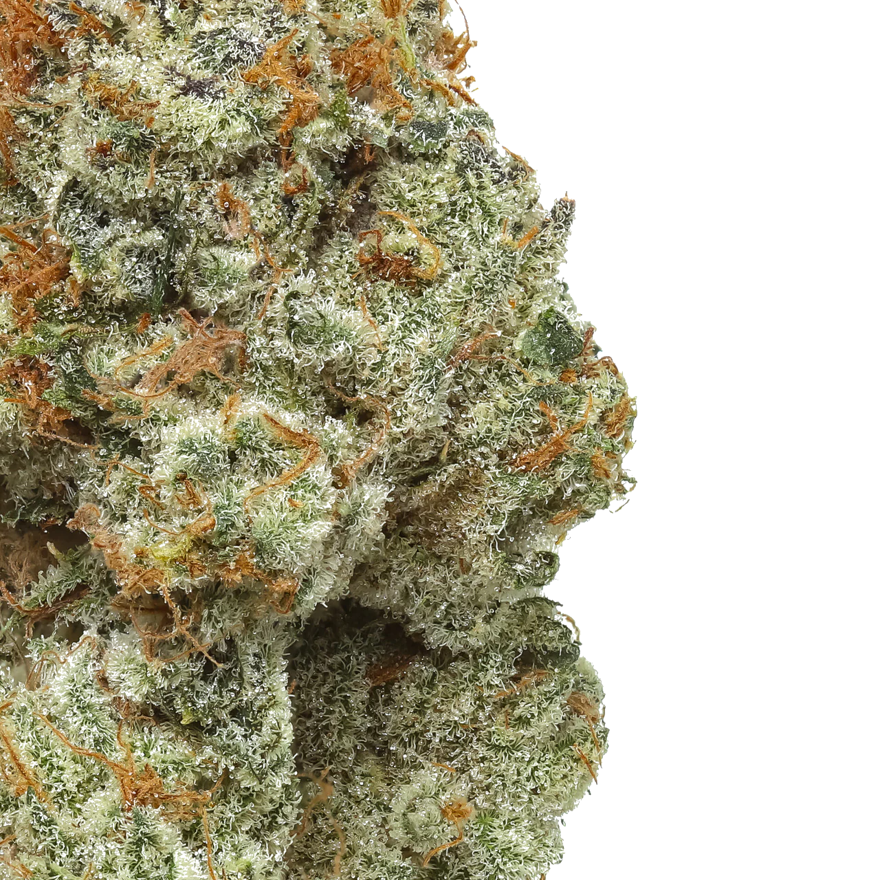 Heavy Z (Zkittlez x ZBX)