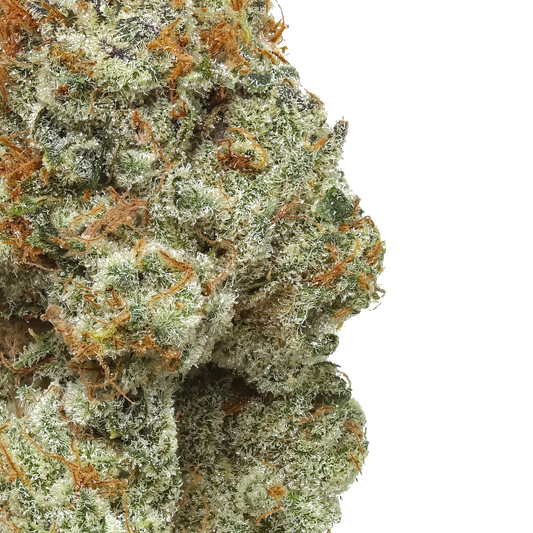 Heavy Z (Zkittlez x ZBX)