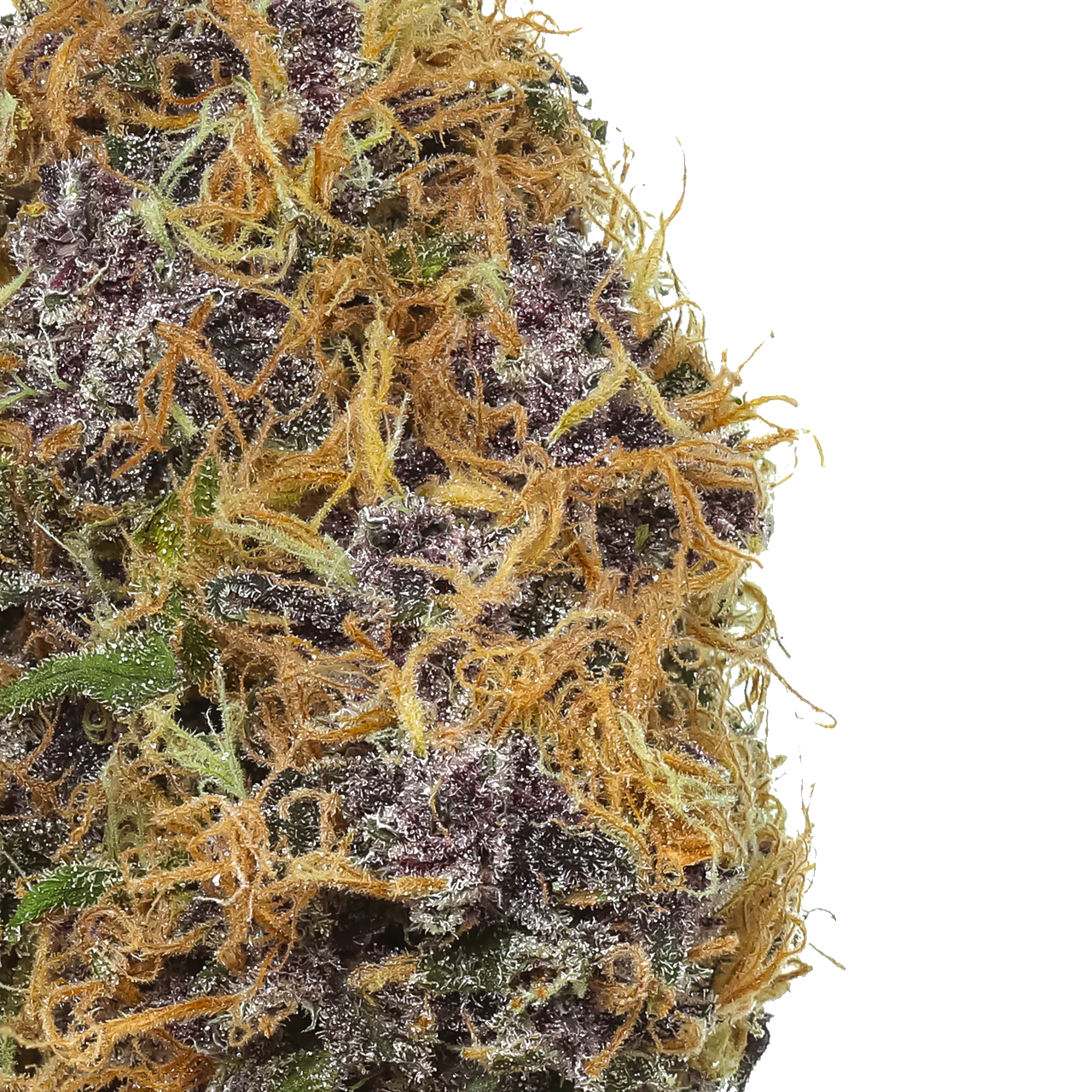 Huckleberry Soda