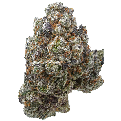Ice Cream Breath x Shoreline