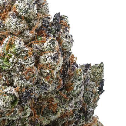 Ice Cream Breath x Shoreline