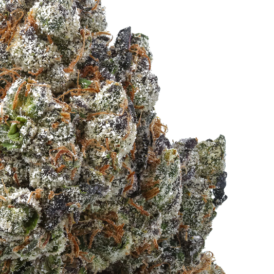 Ice Cream Breath x Shoreline