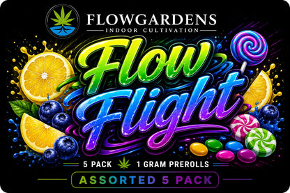 FlowRolls 5-Pack (1g Each)