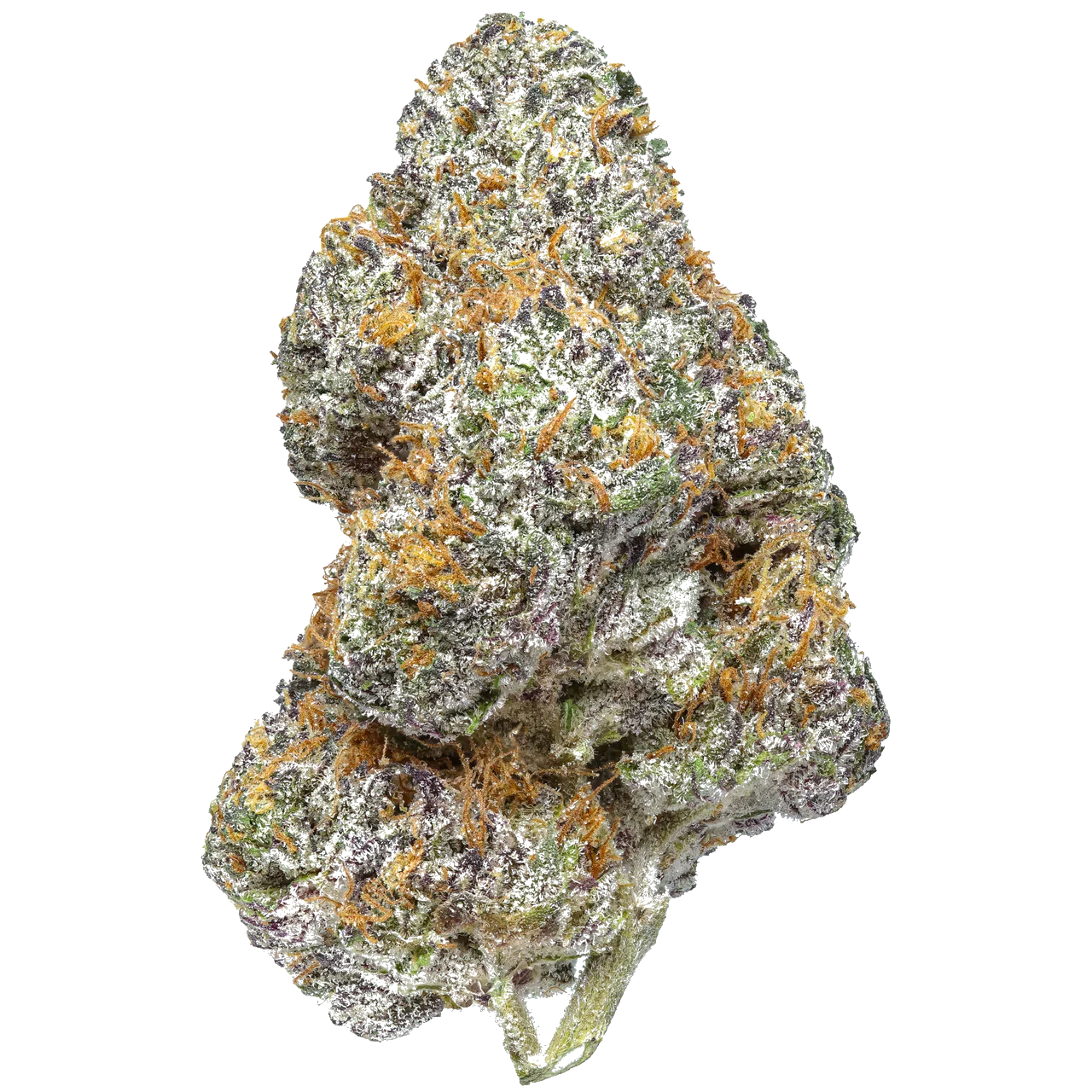 Killer Cupcake harvested flower, as labeled by the cited photo source