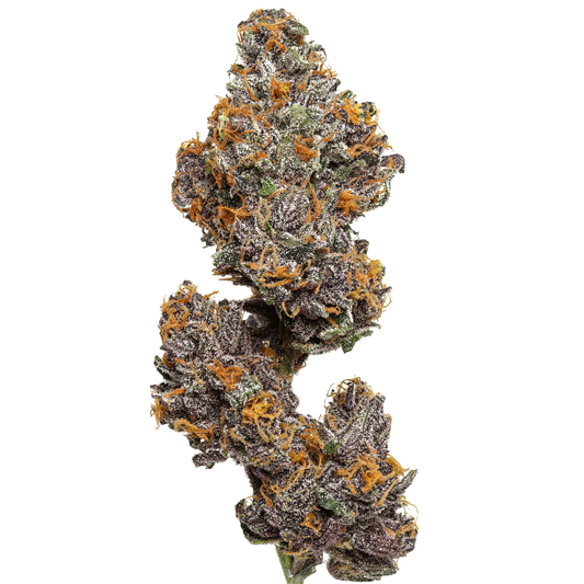 Legendary Platinum OG
