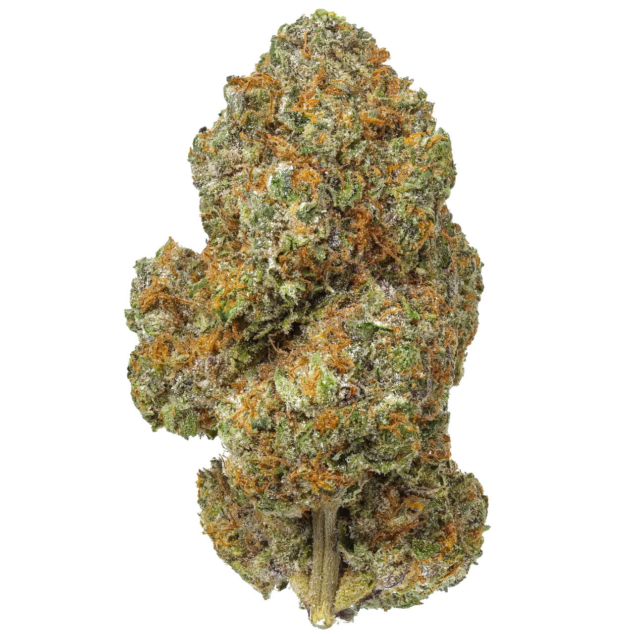 Lemon Cherry Gelato