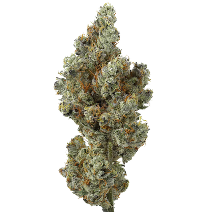 Lemon Cherry Sherbet