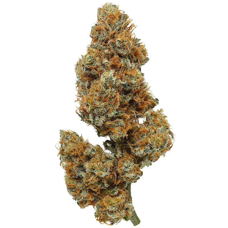 Lemon Vanilla OG (LVOG)