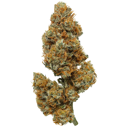 Lemon Vanilla OG (LVOG)
