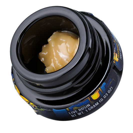 Close-up of a container with a small amount of live rosin inside
