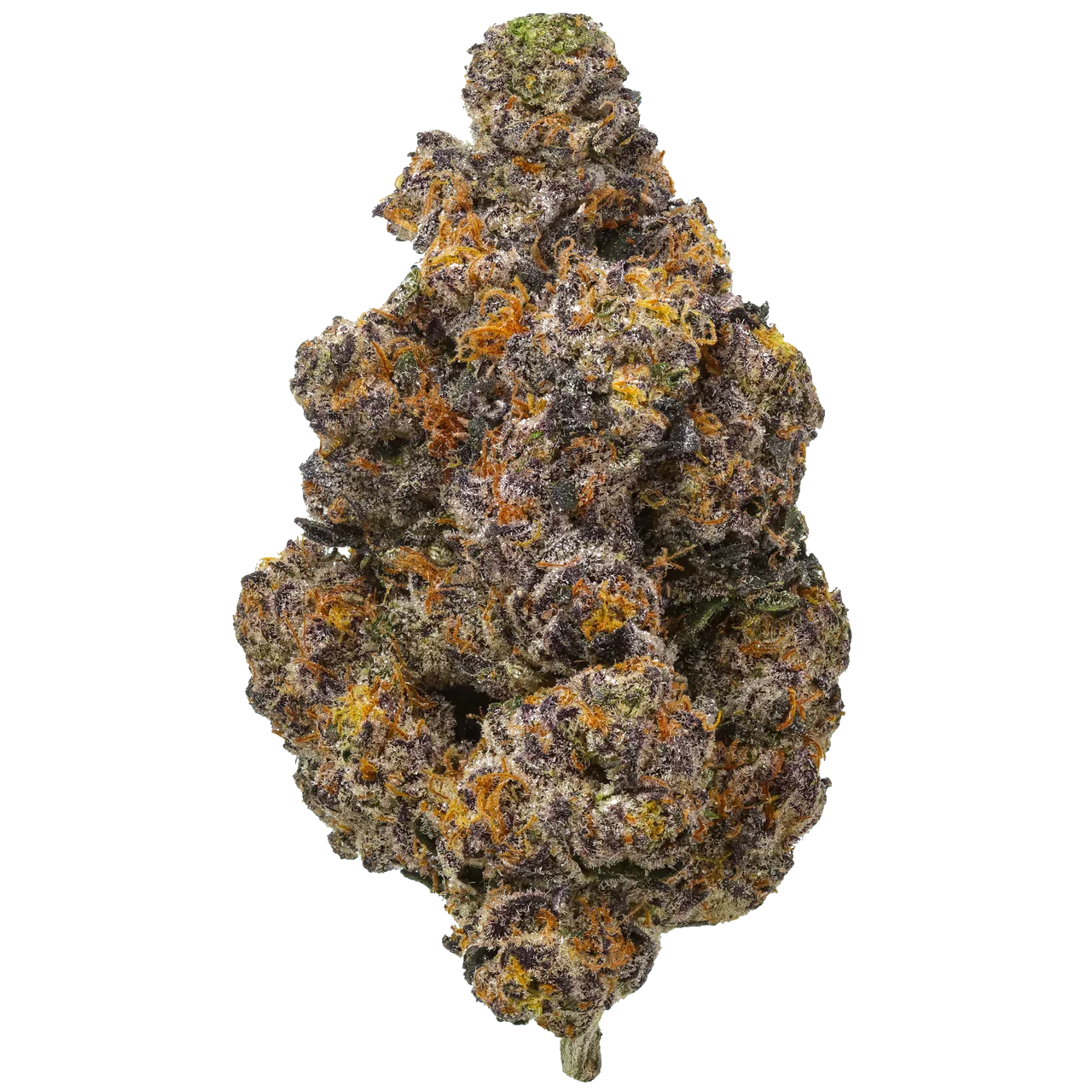 Lunch Box Flow Gardens lunch-box-flow-gardens