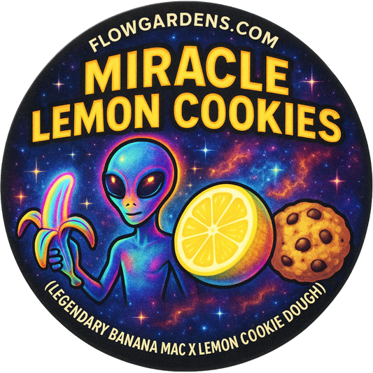 Miracle Lemon Cookies : CBD Small Batch