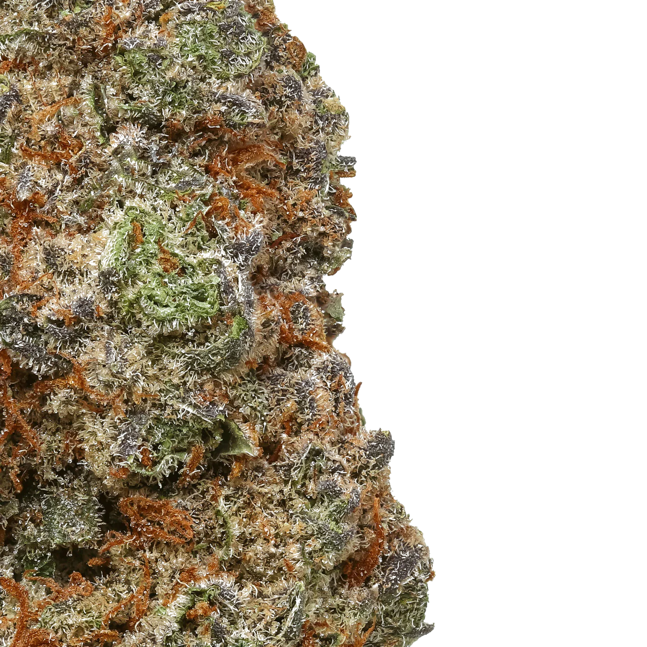 Monkey Berries