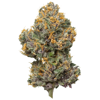 Mystic Mountain Blueberry