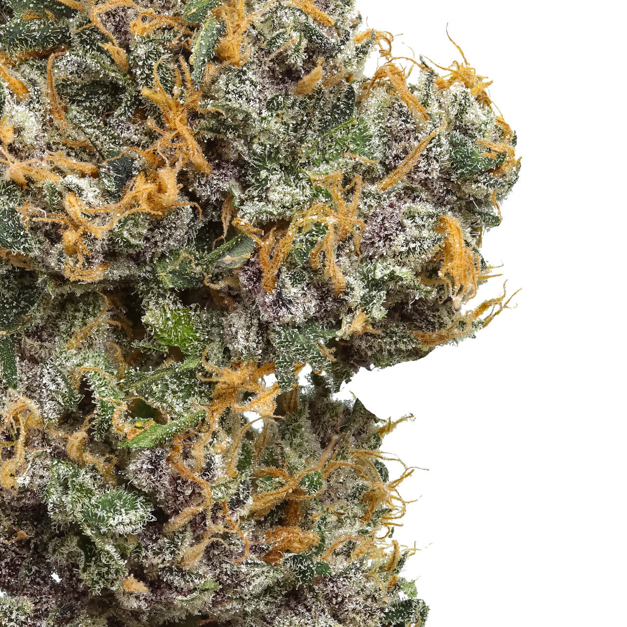 Mystic Mountain Blueberry