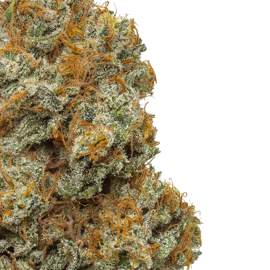 Northern Lights #5