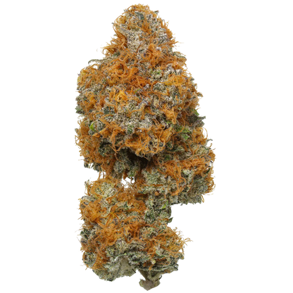 Orange Apricot MAC - Capulator