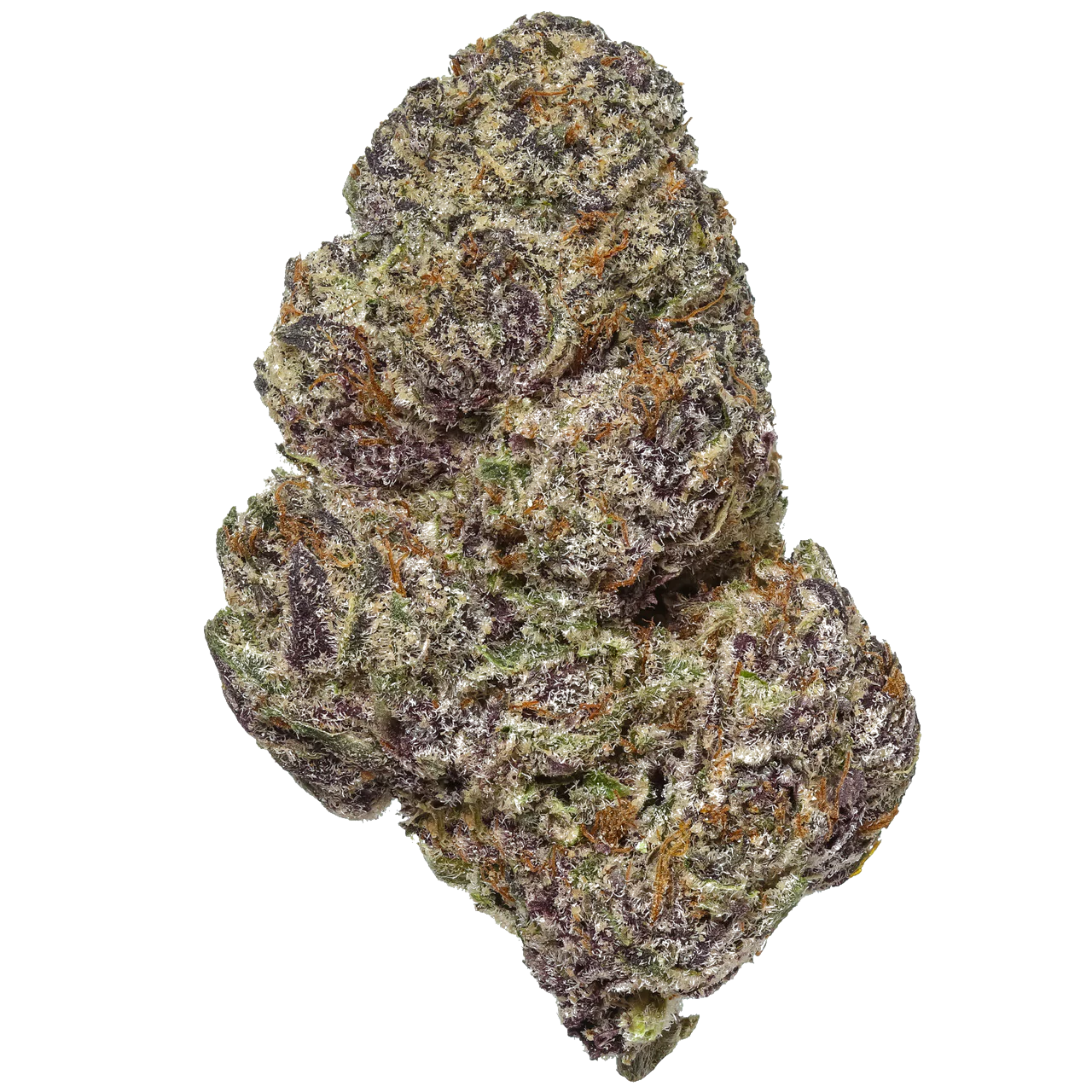 Orange Sherbet