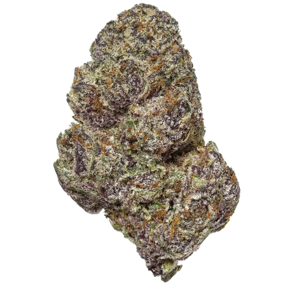 Orange Sherbet