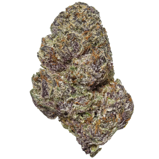 Orange Sherbet