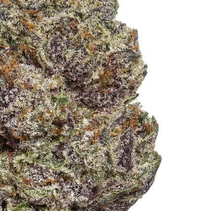 Orange Sherbet