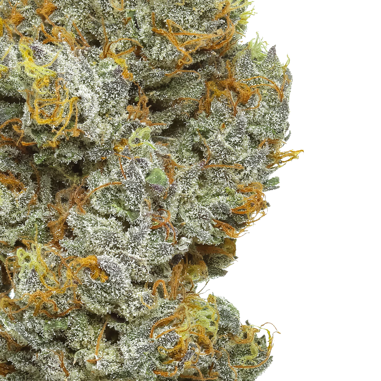 Orange Soda