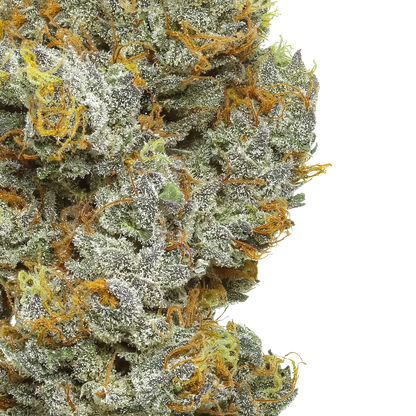 Orange Soda
