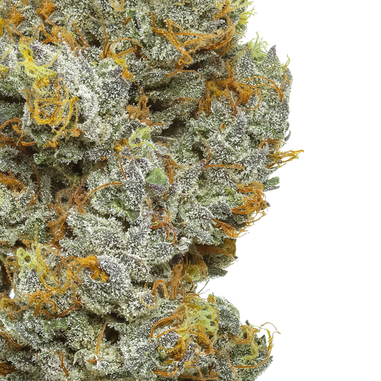 Orange Soda
