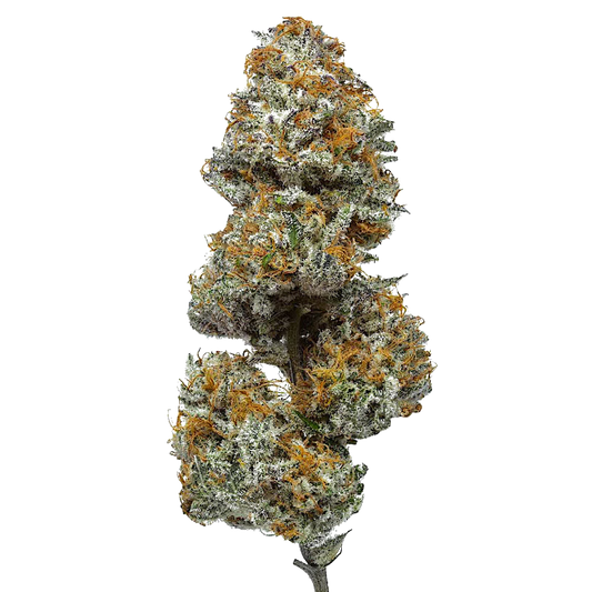 Paradise OG