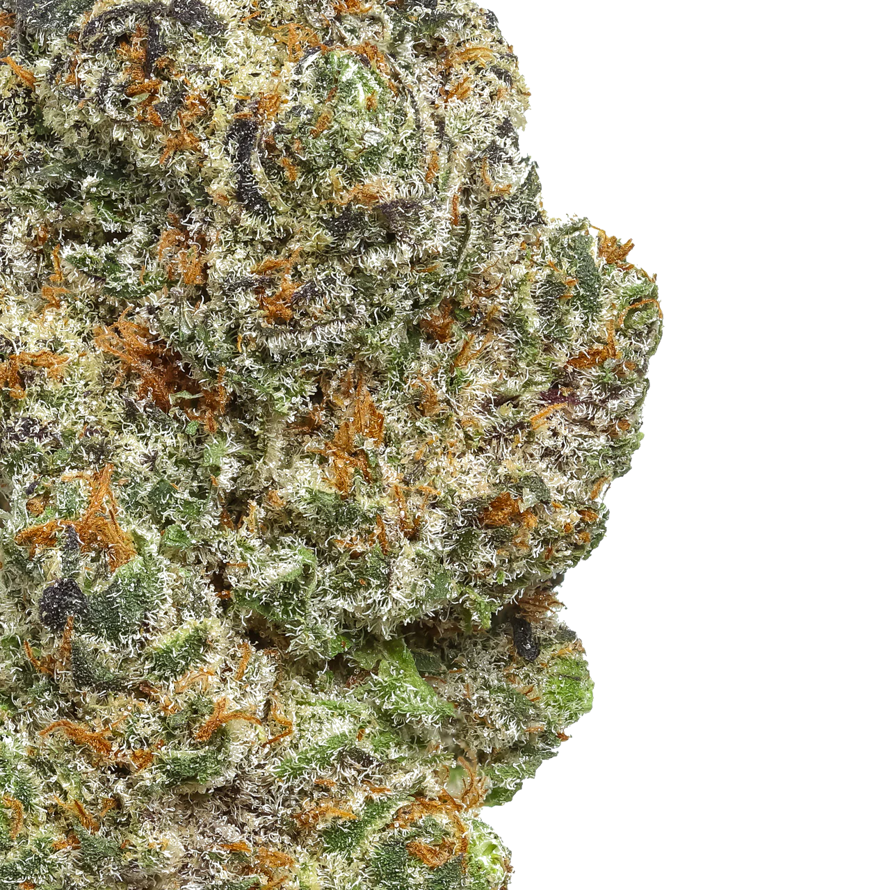 Platinum Lemon Cherry