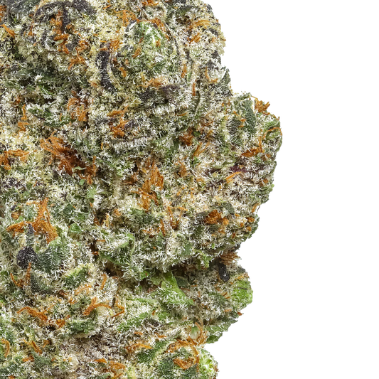 Platinum Lemon Cherry