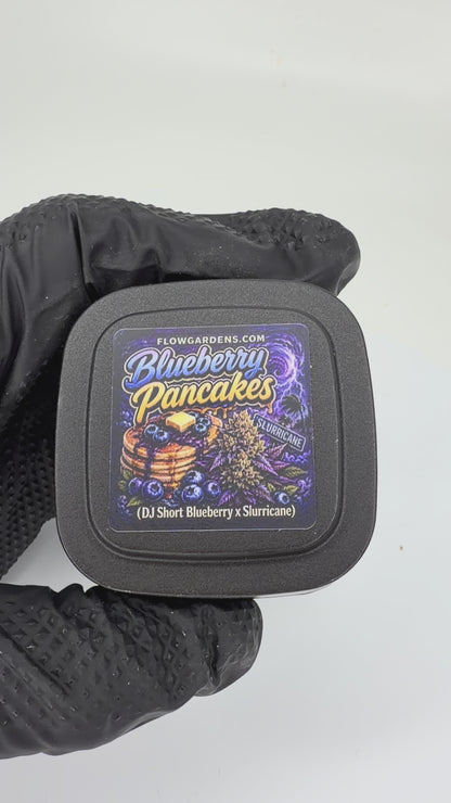 Blueberry Pancakes: Small Batch
