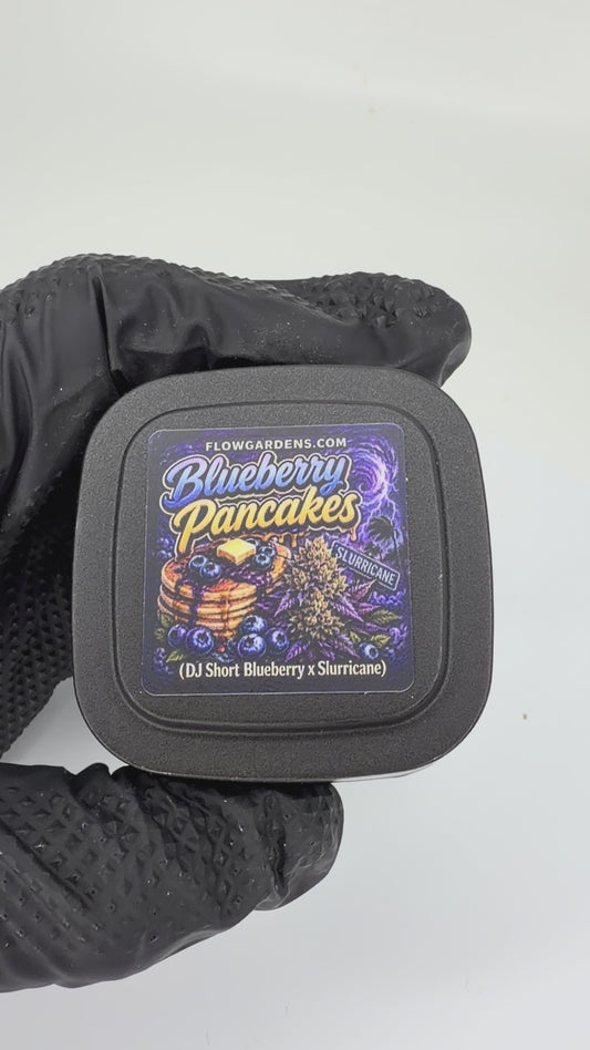 Blueberry Pancakes: Small Batch