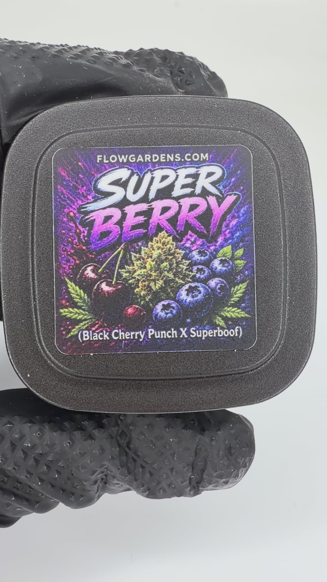 Super Berry: Small Batch | Flow Gardens