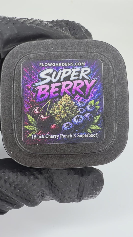 Super Berry: Small Batch
