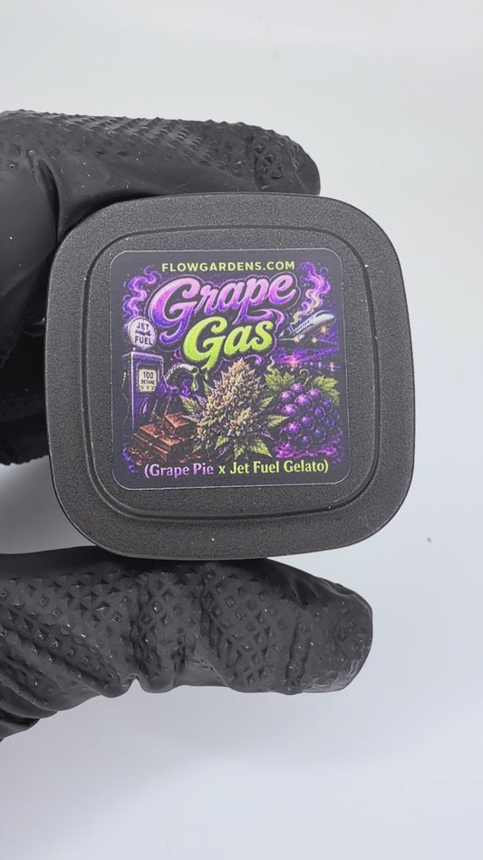 Grape Gas: Small Batch